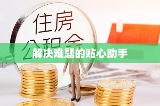 林甸解决难题的贴心助手