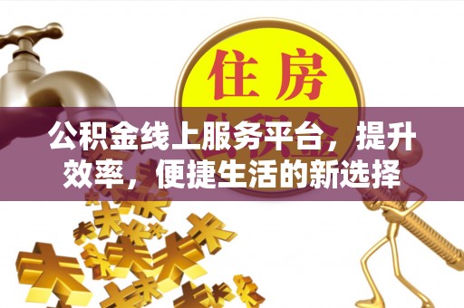 林甸公积金线上服务平台，提升效率，便捷生活的新选择