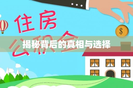 林甸揭秘背后的真相与选择