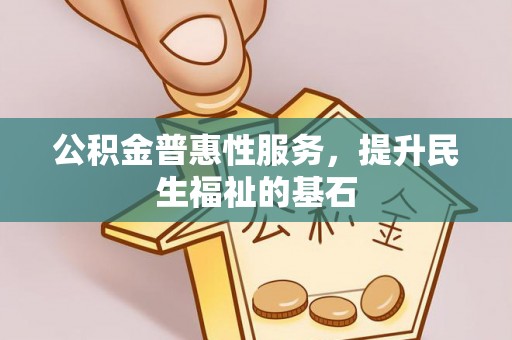 林甸公积金普惠性服务，提升民生福祉的基石