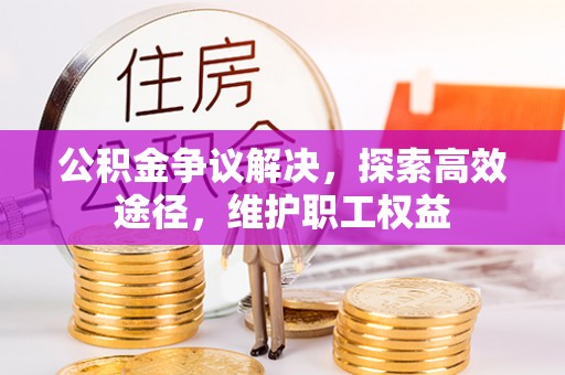 林甸公积金争议解决，探索高效途径，维护职工权益