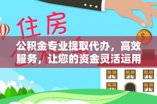 林甸公积金专业提取代办，高效服务，让您的资金灵活运用