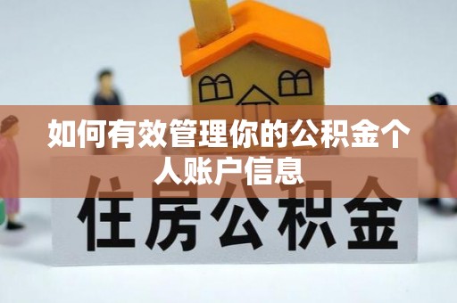 林甸如何有效管理你的公积金个人账户信息