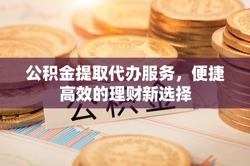林甸公积金提取代办服务，便捷高效的理财新选择
