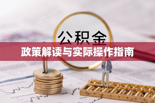 林甸政策解读与实际操作指南