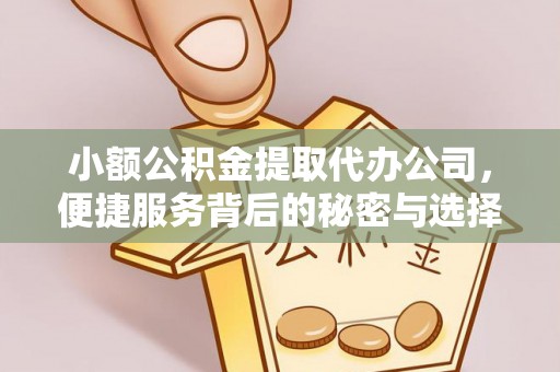 林甸小额公积金提取代办公司，便捷服务背后的秘密与选择指南