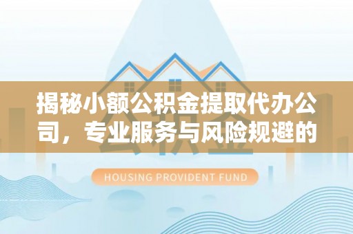 林甸揭秘小额公积金提取代办公司，专业服务与风险规避的平衡艺术