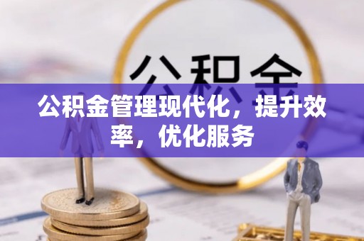 林甸公积金管理现代化，提升效率，优化服务