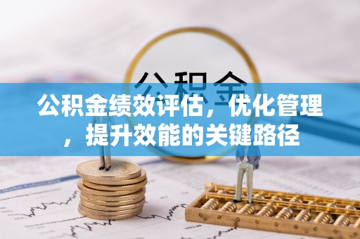 林甸公积金绩效评估，优化管理，提升效能的关键路径