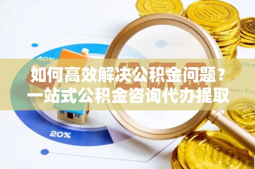 林甸如何高效解决公积金问题？一站式公积金咨询代办提取服务全解析