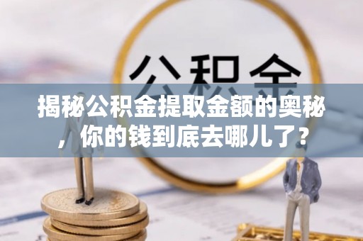 林甸揭秘公积金提取金额的奥秘，你的钱到底去哪儿了？