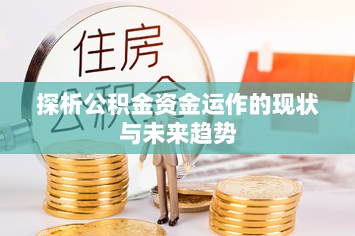 林甸探析公积金资金运作的现状与未来趋势