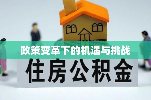 林甸政策变革下的机遇与挑战