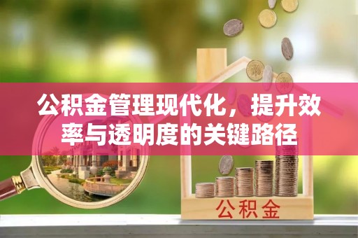 林甸公积金管理现代化，提升效率与透明度的关键路径