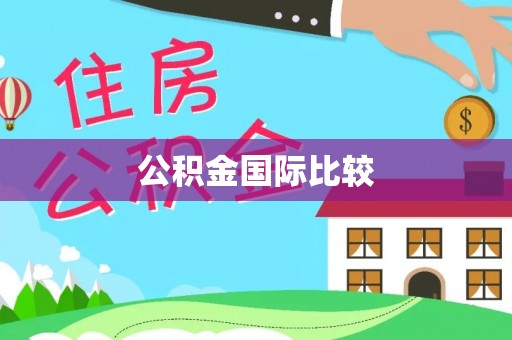 林甸公积金国际比较