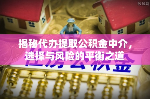 林甸揭秘代办提取公积金中介，选择与风险的平衡之道