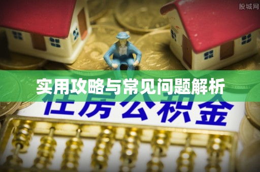 林甸实用攻略与常见问题解析