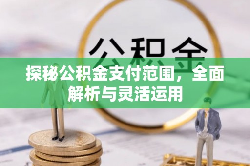 林甸探秘公积金支付范围，全面解析与灵活运用
