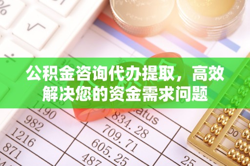 林甸公积金咨询代办提取，高效解决您的资金需求问题