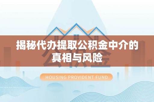 林甸揭秘代办提取公积金中介的真相与风险