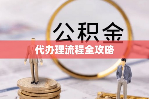 林甸代办理流程全攻略