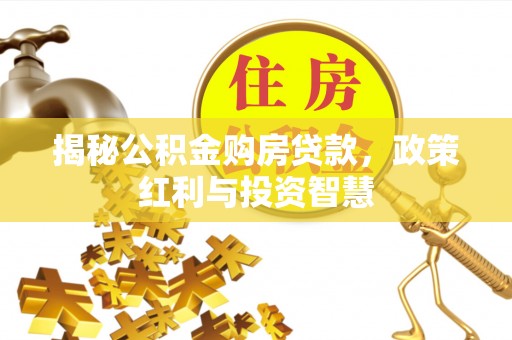 林甸揭秘公积金购房贷款，政策红利与投资智慧