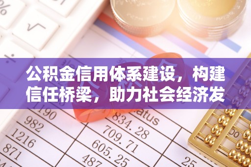 林甸公积金信用体系建设，构建信任桥梁，助力社会经济发展