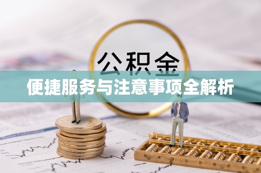 林甸便捷服务与注意事项全解析