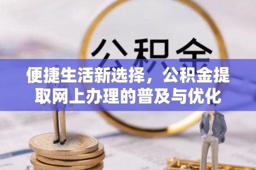 林甸便捷生活新选择，公积金提取网上办理的普及与优化