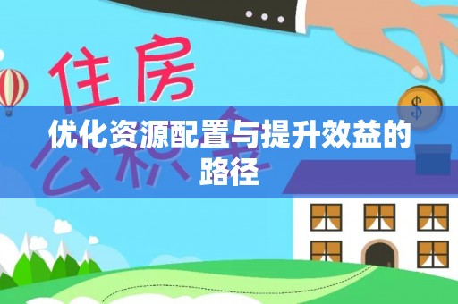 林甸优化资源配置与提升效益的路径