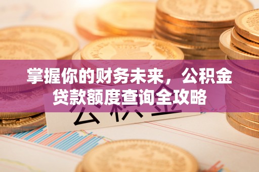 林甸掌握你的财务未来，公积金贷款额度查询全攻略