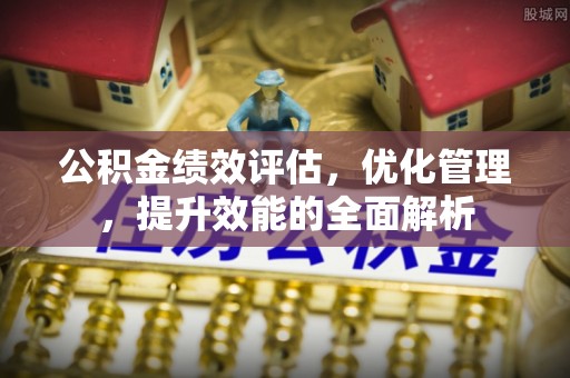 林甸公积金绩效评估，优化管理，提升效能的全面解析