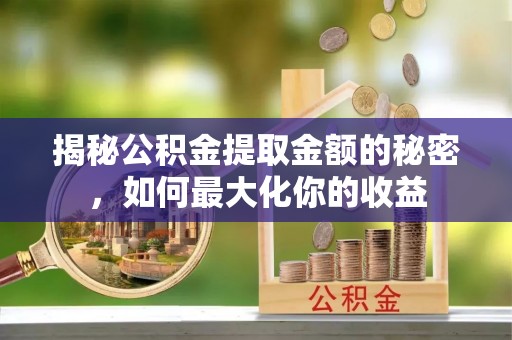 林甸揭秘公积金提取金额的秘密，如何最大化你的收益