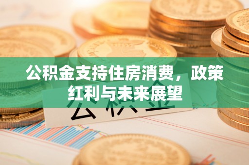 林甸公积金支持住房消费，政策红利与未来展望