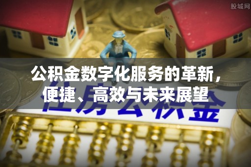 林甸公积金数字化服务的革新，便捷、高效与未来展望
