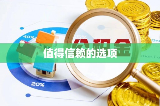 林甸值得信赖的选项
