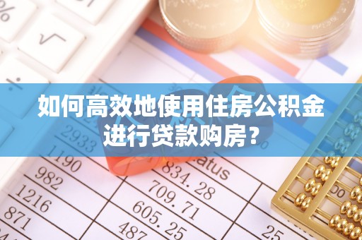 林甸如何高效地使用住房公积金进行贷款购房？