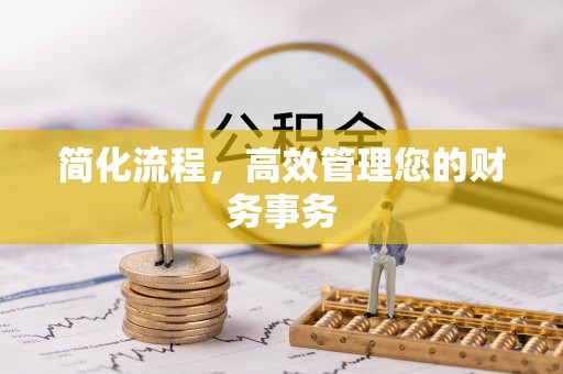 林甸简化流程，高效管理您的财务事务