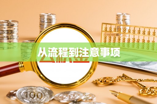林甸从流程到注意事项
