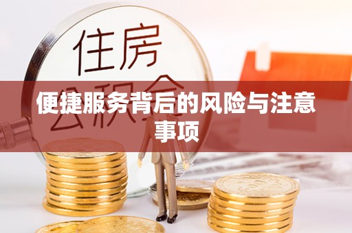 林甸便捷服务背后的风险与注意事项
