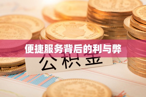 林甸便捷服务背后的利与弊