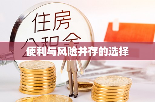 林甸便利与风险并存的选择
