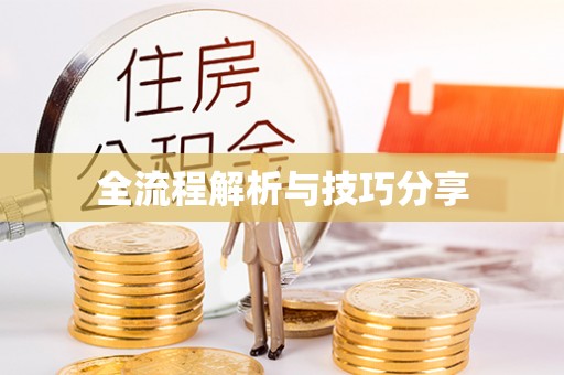 林甸全流程解析与技巧分享