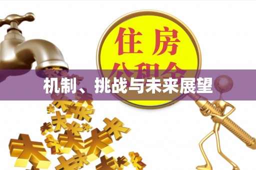 林甸机制、挑战与未来展望