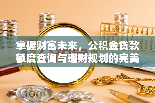 林甸掌握财富未来，公积金贷款额度查询与理财规划的完美结合