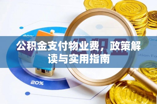 林甸公积金支付物业费，政策解读与实用指南