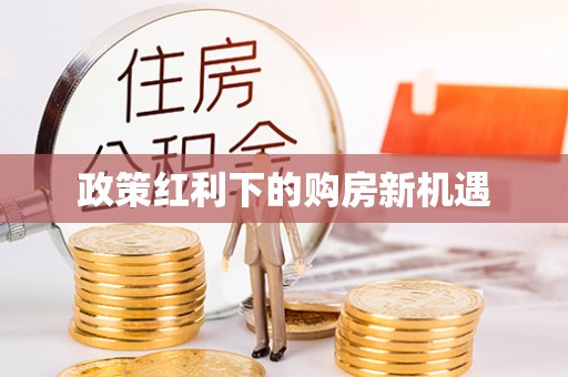 林甸政策红利下的购房新机遇