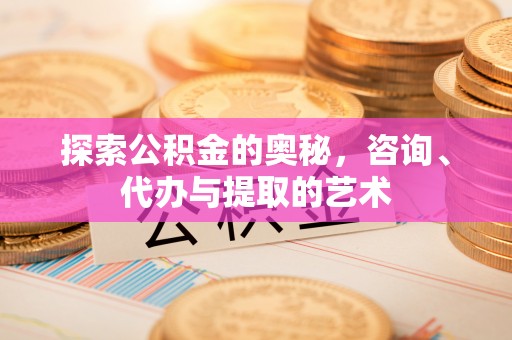 林甸探索公积金的奥秘，咨询、代办与提取的艺术